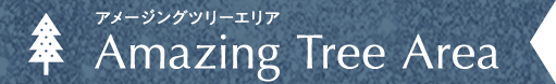 Amazing Tree Area アメージングツリーエリア