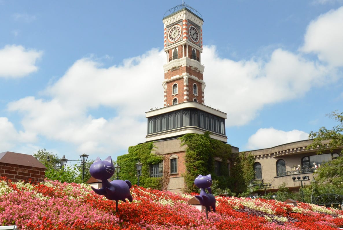 コイビト花壇
