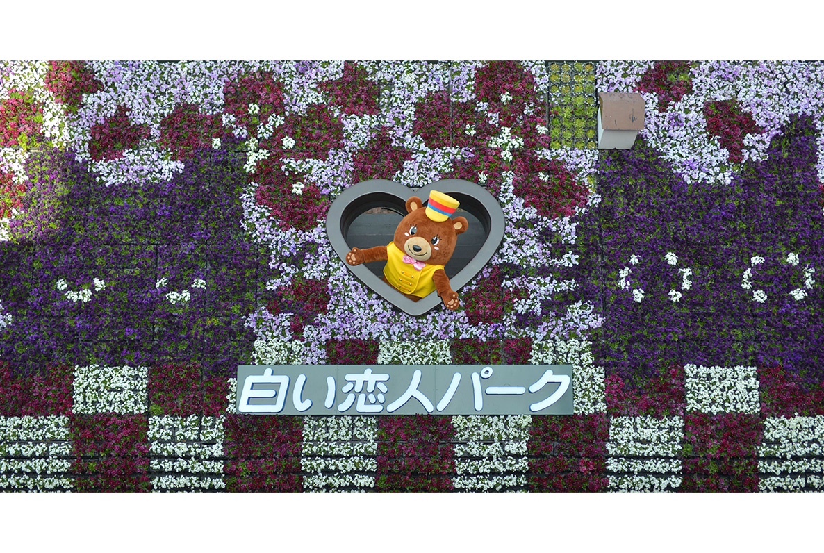 コイビト花壇