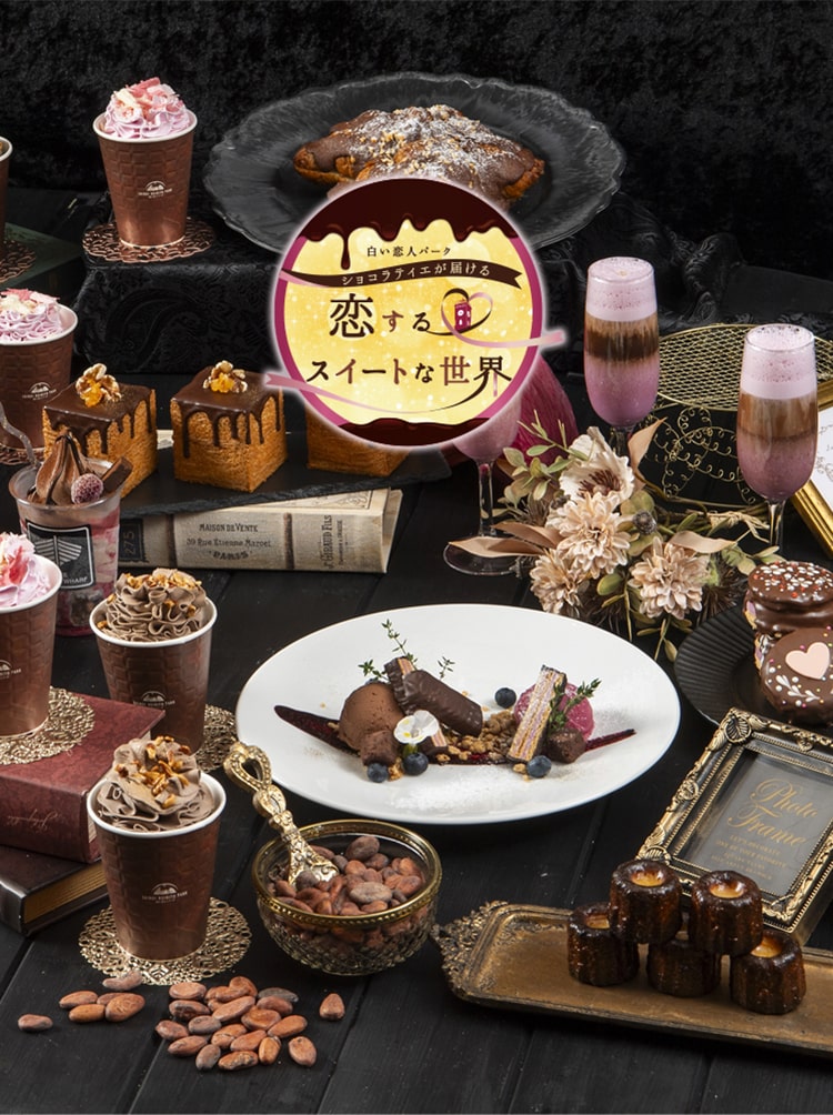 Night of Beauté II 7個セット sa様専用 【公式通販】