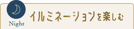 イルミネーションを楽しむ