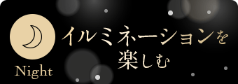 イルミネーションを楽しむ