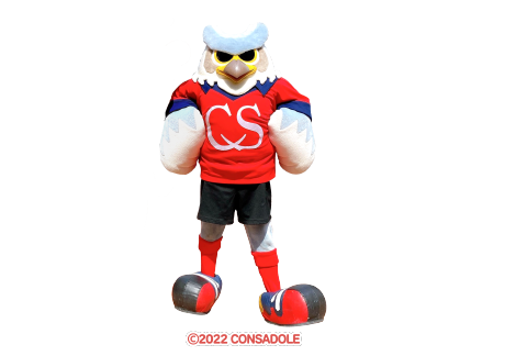 コンサドーレの選手とドーレ君が参加する親子大運動会