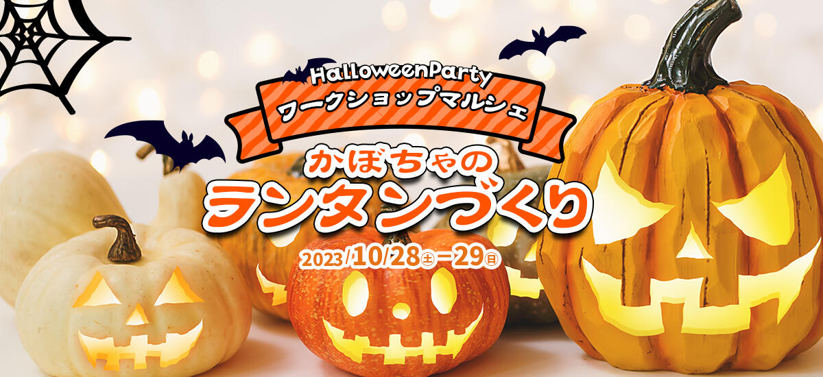 ハロウィンカボチャ　かぼちゃ (生) 本物　北海道