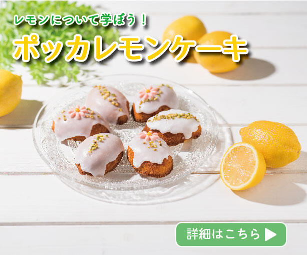 レモンケーキHP_アートボード 1 のコピー 3.jpg