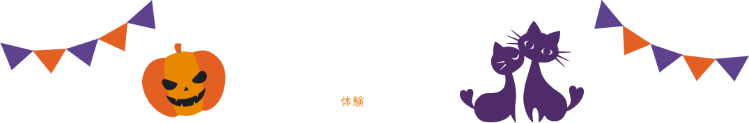 Experience 体験