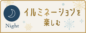 イルミネーションを楽しむ