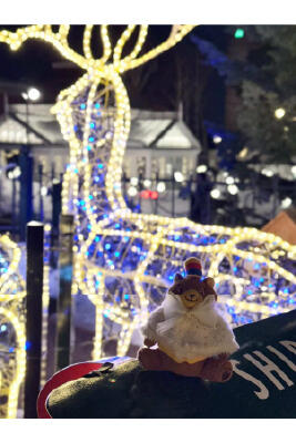 入賞作品リサイズ_アートボード 1.jpg