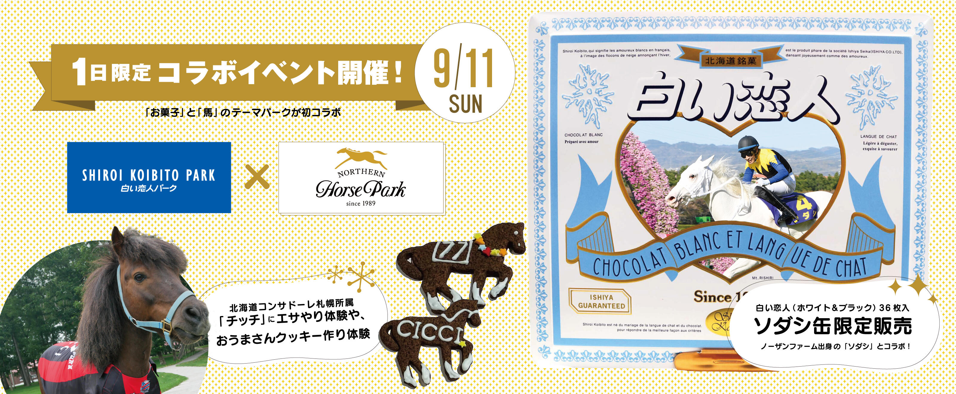 白い恋人パーク ノーザンホースパークコラボイベント お知らせ 白い恋人パーク