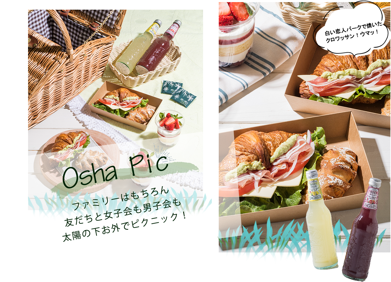 Osha Pic ファミリーはもちろん 友だちと女子会も男子会も 太陽の下お外でピクニック！