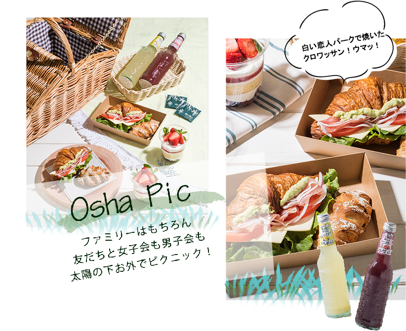 白い恋人パークでおしゃピク 夏を楽しむピクニック お知らせ 白い恋人パーク