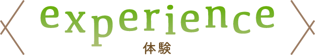 体験