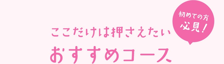 ここだけは押さえたい おすすめコース